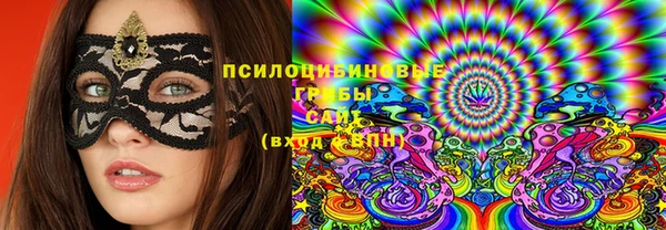 стафф Елизово