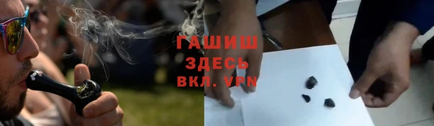 стафф Елизово