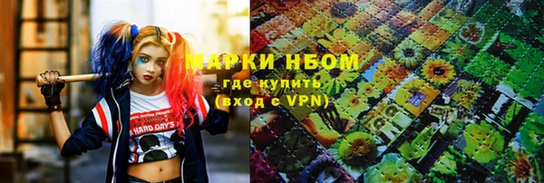 стафф Елизово