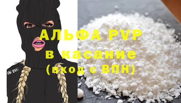 стафф Елизово