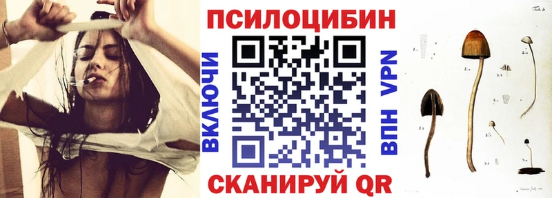 Псилоцибиновые грибы прущие грибы  Купить закладки  Хилок 